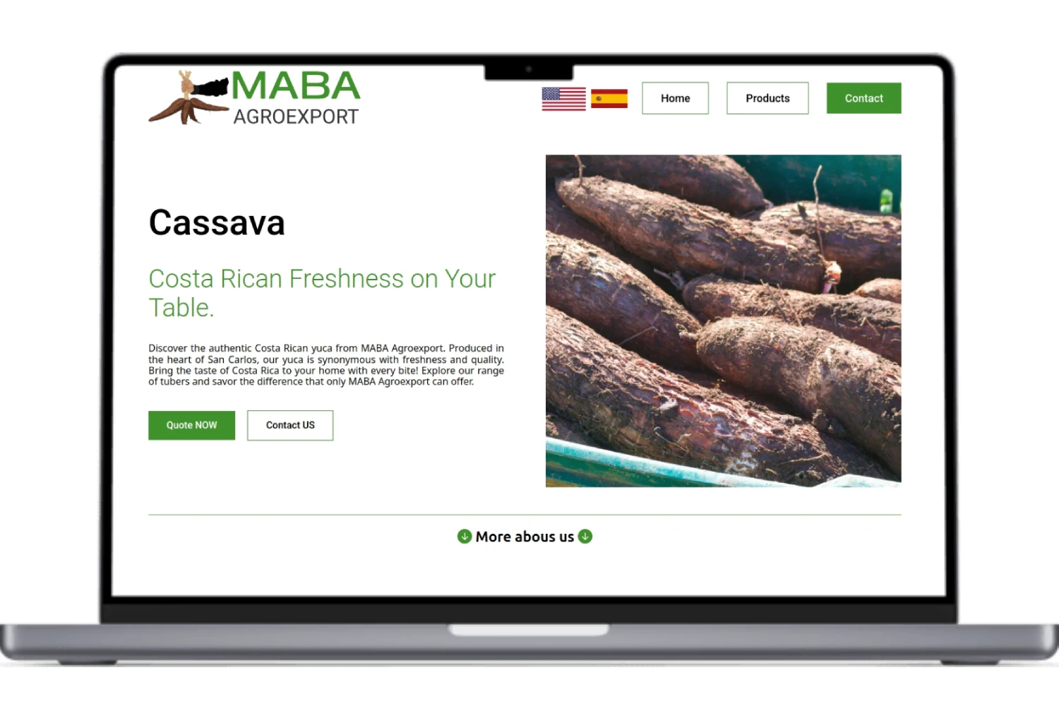 Mabaagroexport